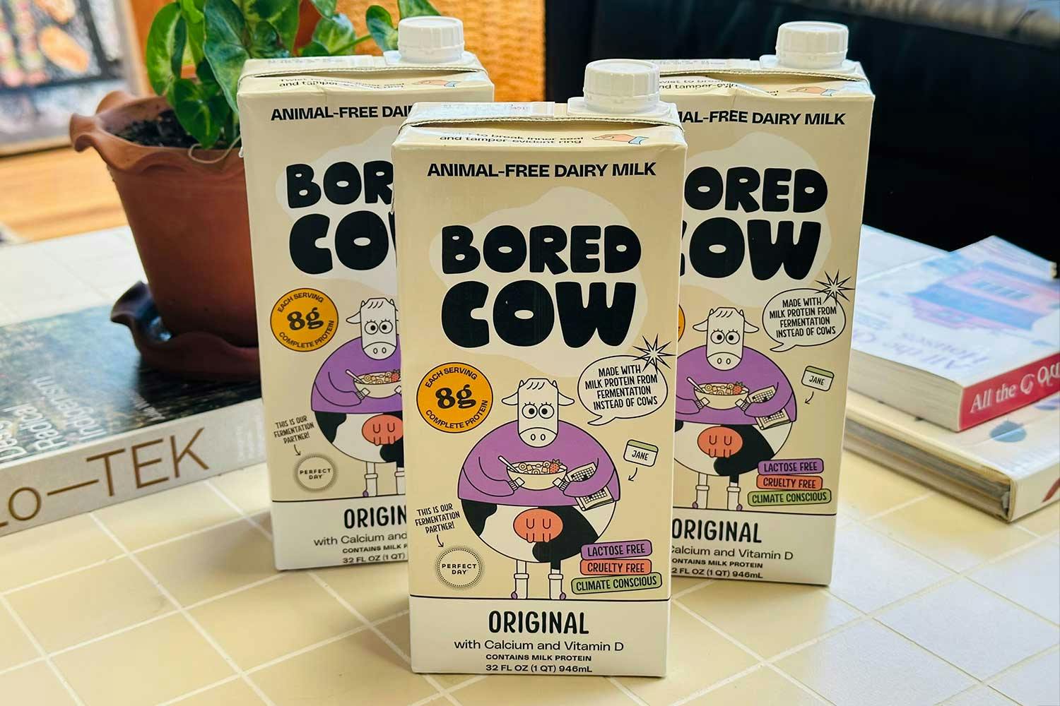 bored cow milk