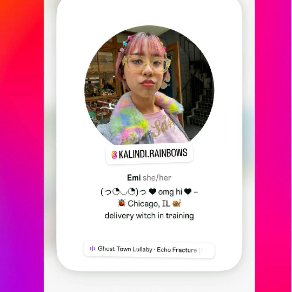 preview showing Instagram profile cards