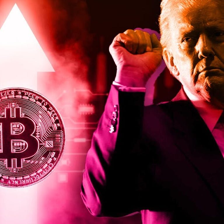 Crypto Bros Are Soaring Post-Election donald trump bitcoin