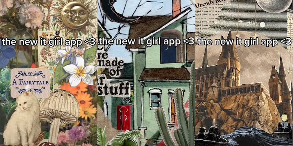 Shuffles collage with cat mushroom flowers and sun with moon caption "the new it girl app