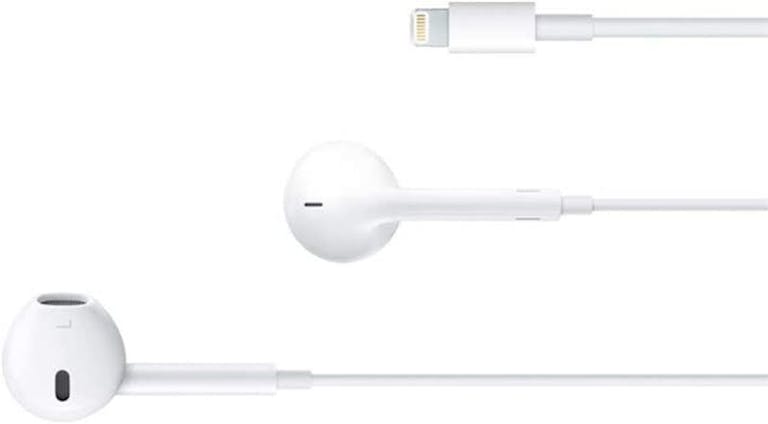 tiktok microphone - apple earbuds