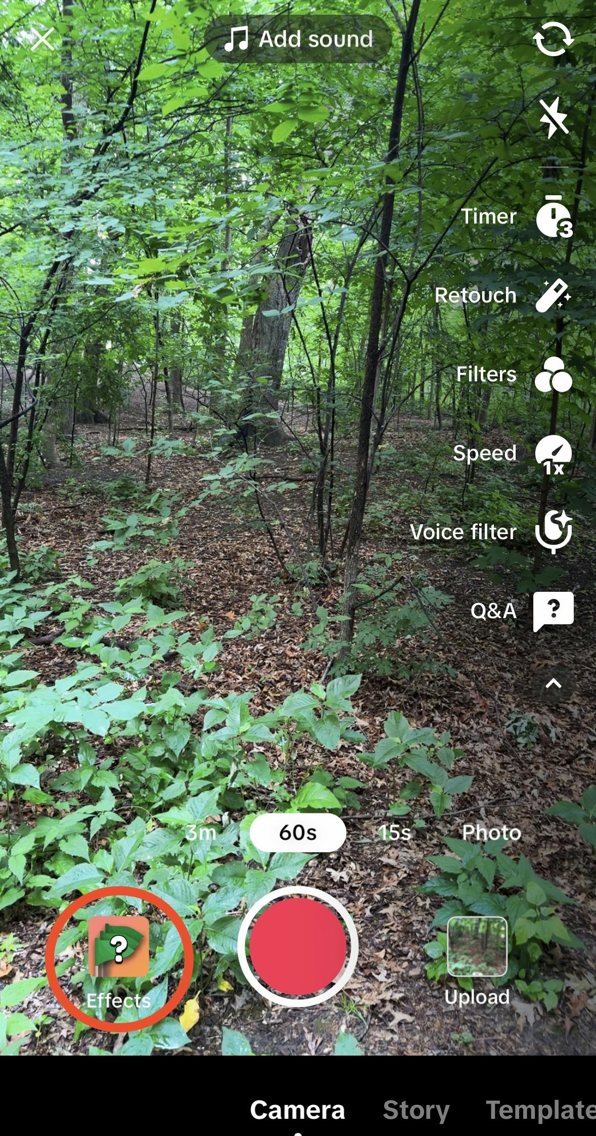 A screenshot of the window to start recording a TikTok, this one of a forest landscape. A square-shaped icon labeled “Effects” is to the left of the record button, with a red circle to draw attention to it.