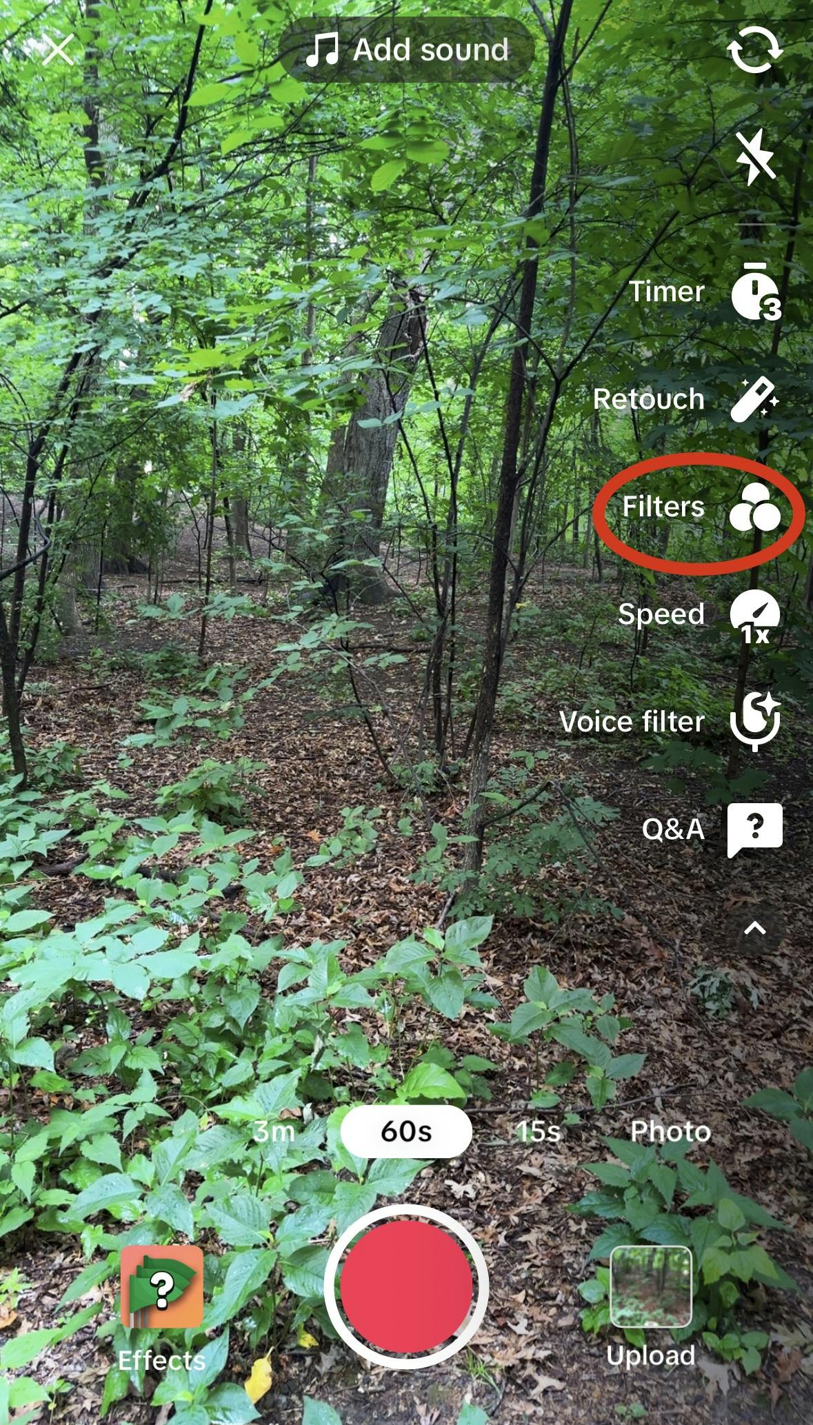 A screenshot of the window that appears when recording the TikTok. A sidebar of tools appears on the right-hand side. An icon labeled “Filters” is circled in red.