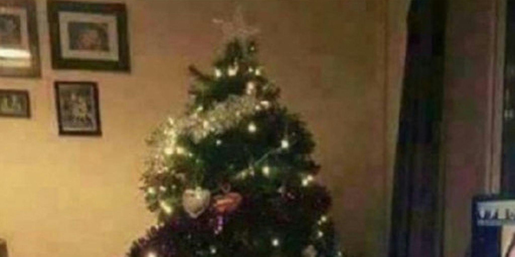 Former WWE star posts Christmas tree photo, fails to crop out the porn he was watching