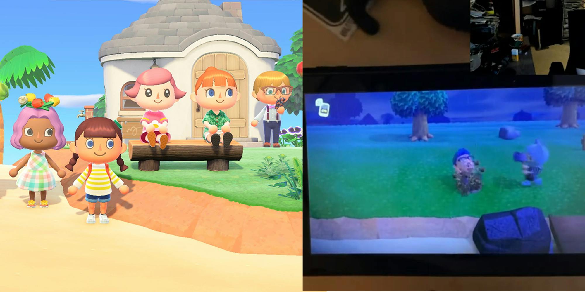 Animal Crossing can now be played with a butt plug