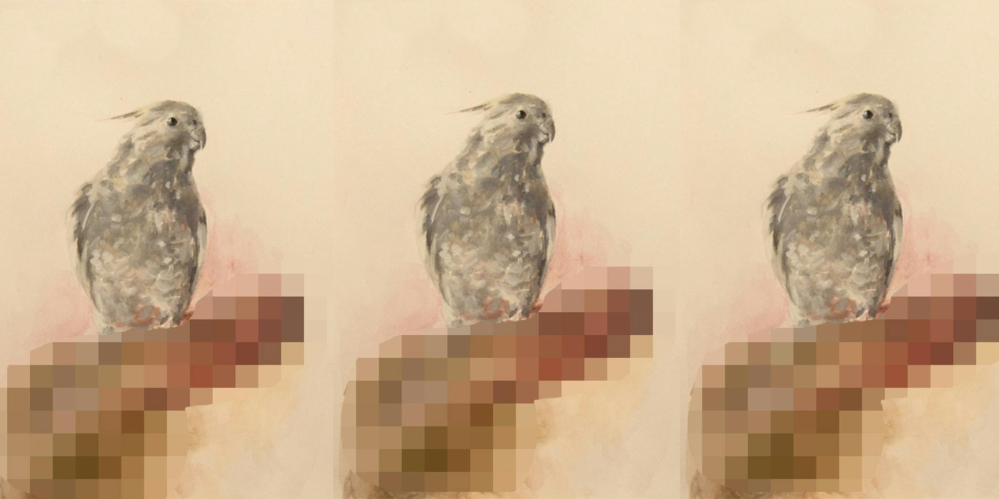 This artist’s totally NSFW bird paintings are flying off the Etsy shelves