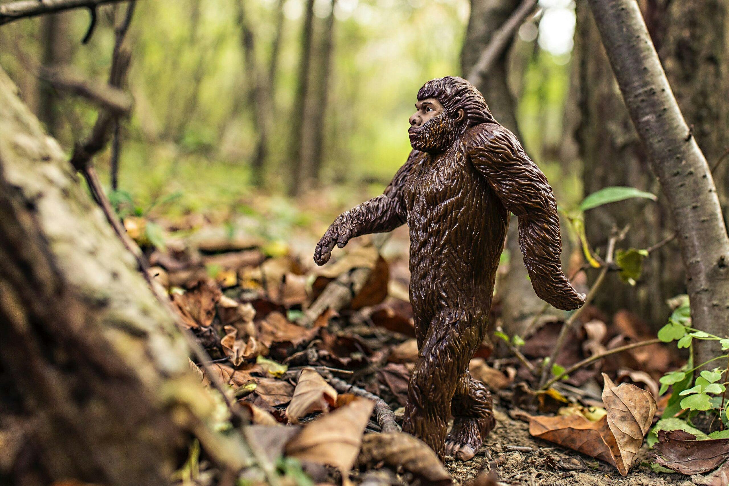 GOP candidate called out for posting Bigfoot erotica