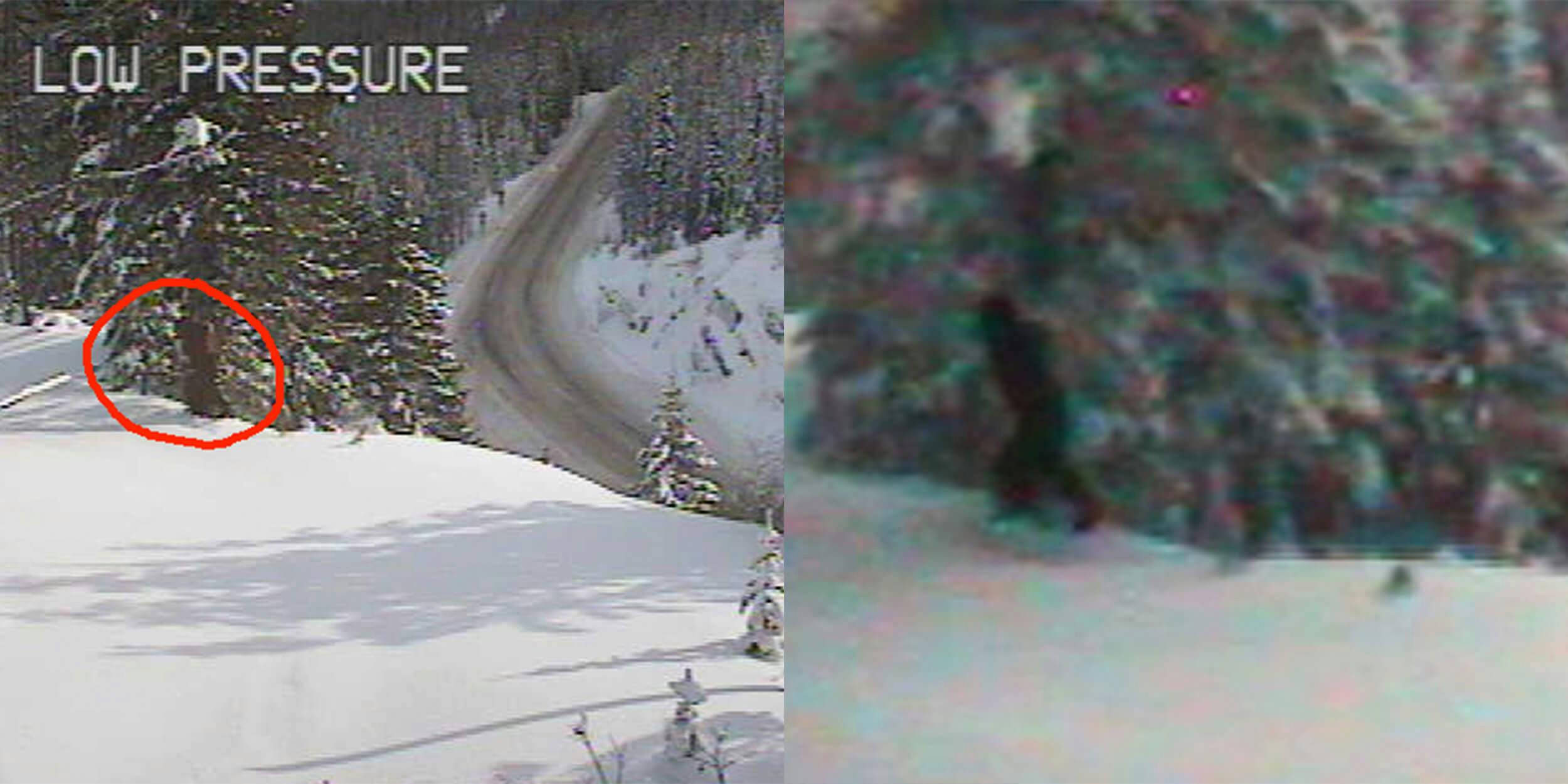Webcam footage of ‘Bigfoot’ shared by state government agency