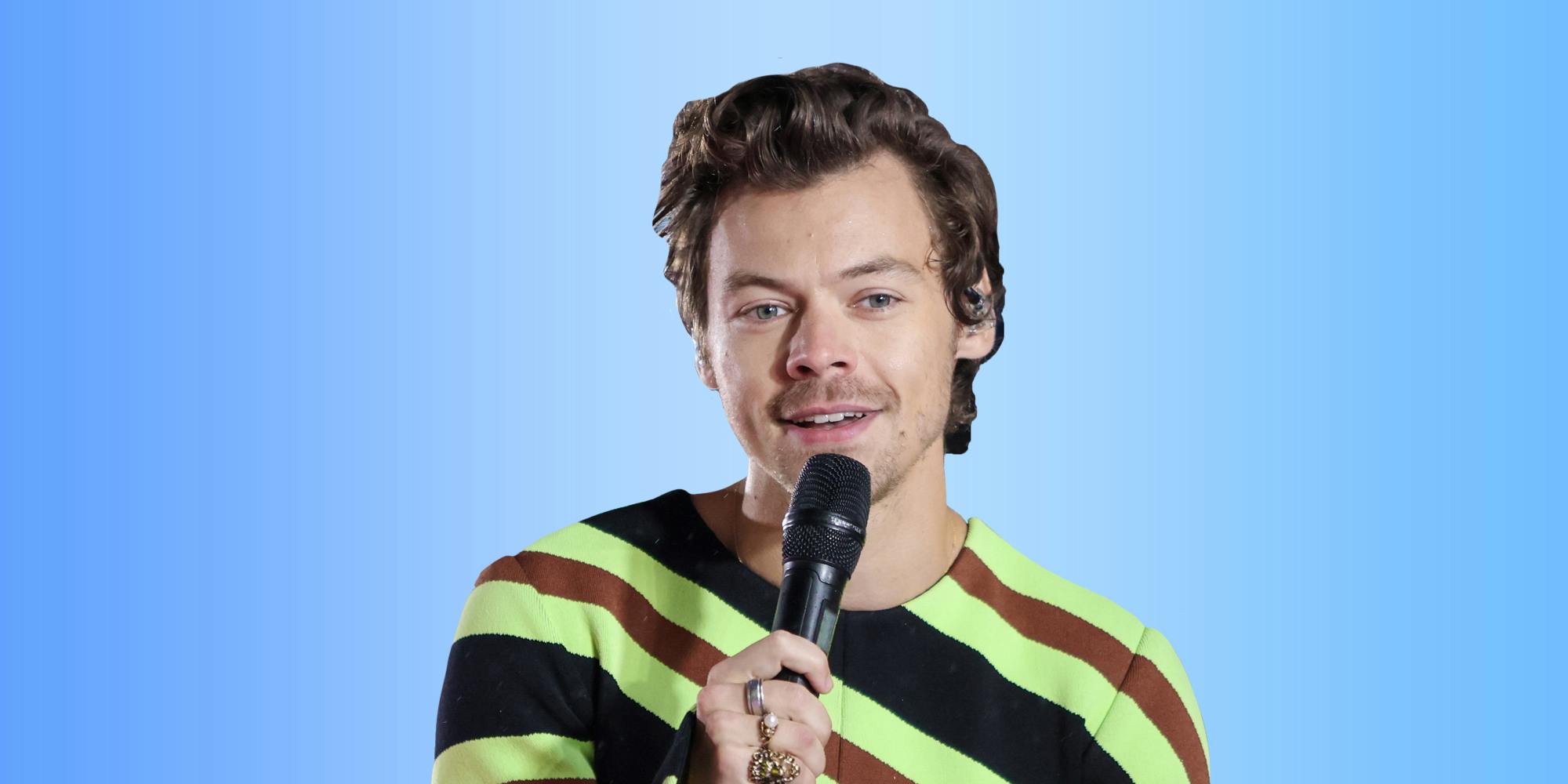 ‘So much of gay sex in film is two guys going at it’: Harry Styles under fire for his comments about gay sex scenes