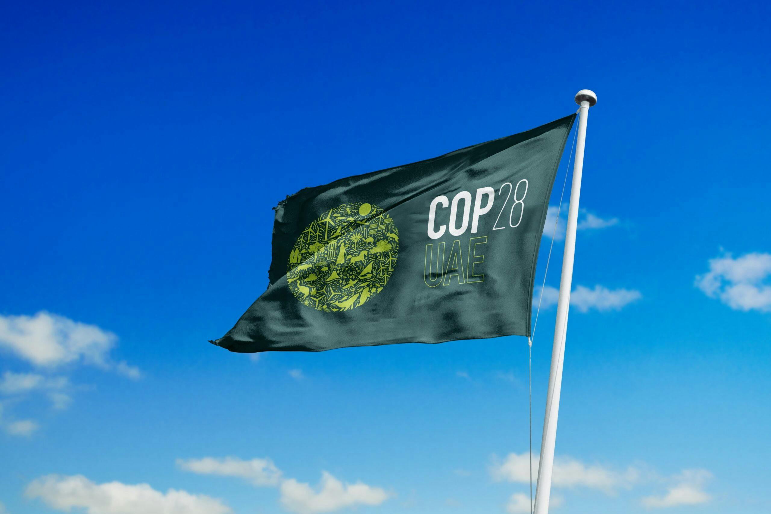 cop28-flag