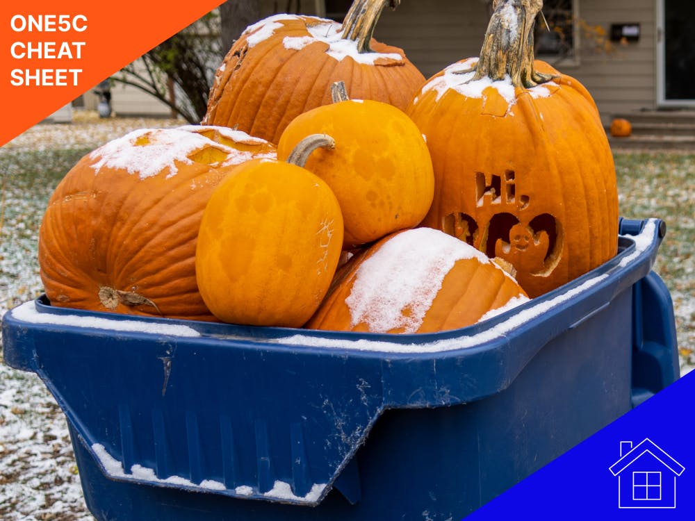 pumpkins-in-trash-can